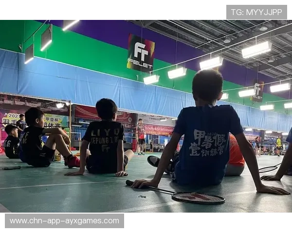 羽毛球裁判判罚讨论：标准化之路多远？